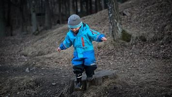 Kids Trendy Clothes - 11522 species