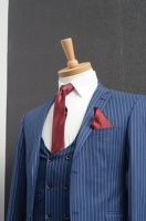 Mens Suit - 28109 selections