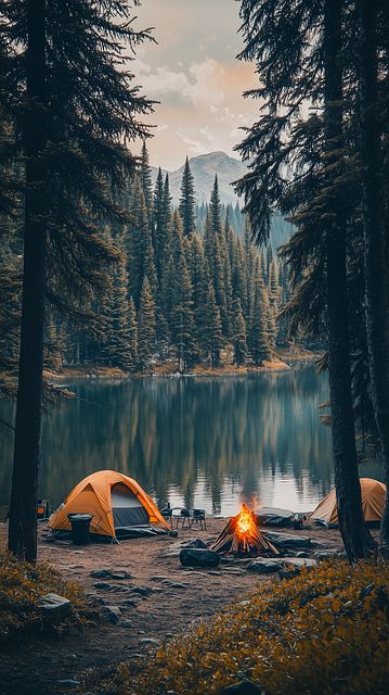 палатки за къмпинг - 84730 клиенти